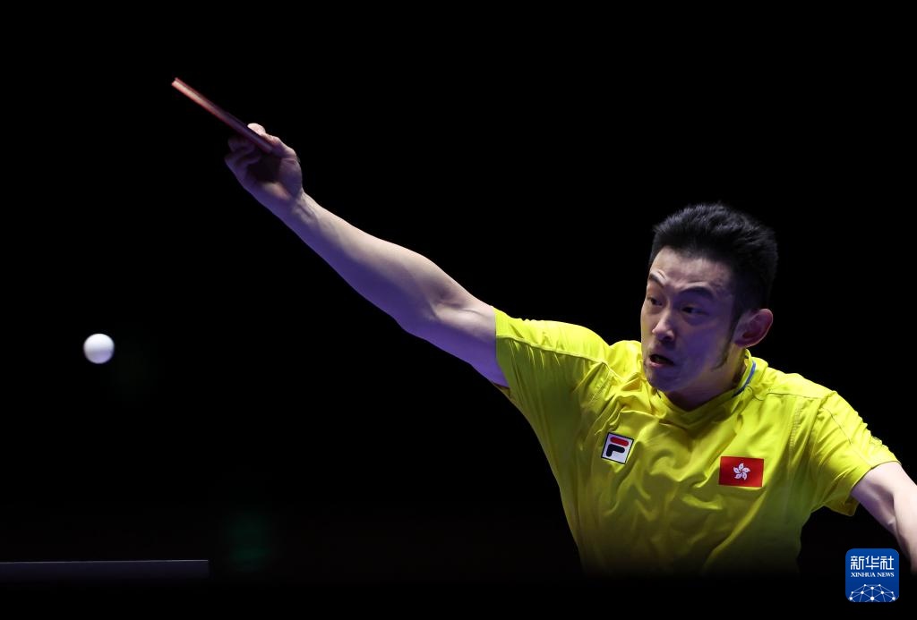 快船粉丝的 快船粉丝的