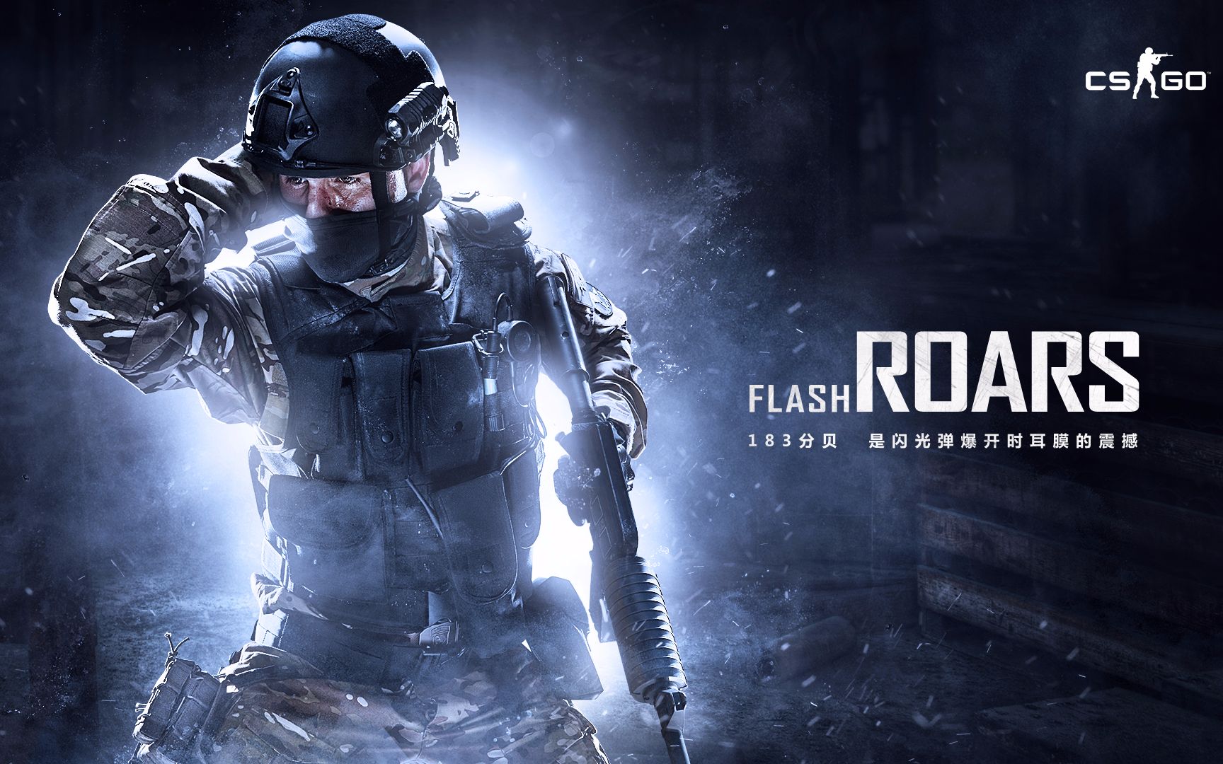 决策提供了 决策提供了